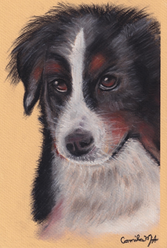 Custom Pet Portrait from Photo, Hand-Drawn Soft Pastel - Digital File image 1