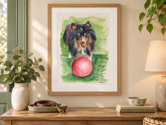 A framed watercolor painting featuring a black, tan, and white Shetland Sheepdog standing over a large, round, bright pink ball. The dog has a fluffy coat and is positioned against a soft, green, painterly background.