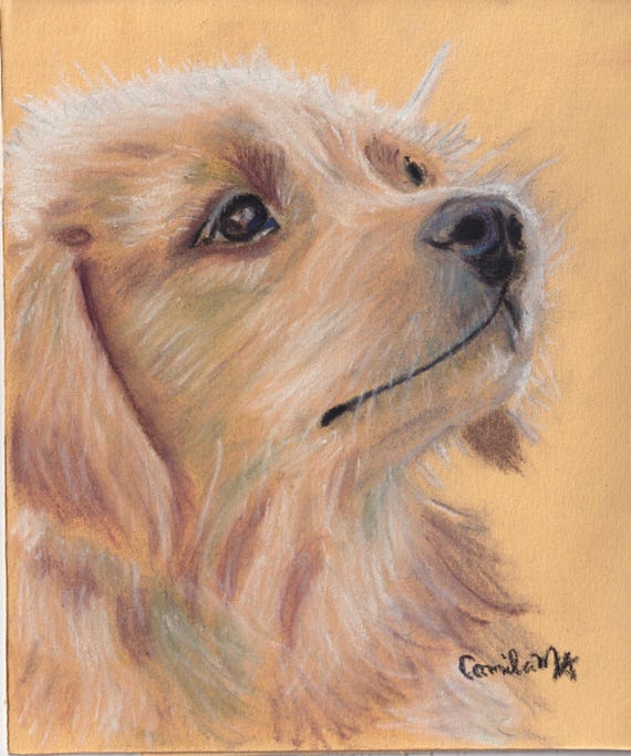 Custom Pet Portrait from Photo, Hand-Drawn Soft Pastel - Digital File image 6