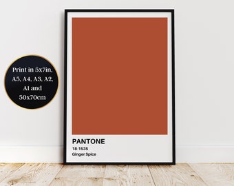 Ginger Spice Print at Home Wall Art - Aspirational Decor for a Touch of Sophistication