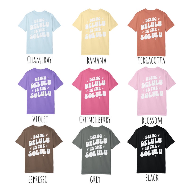 K&ouml;nnte beinhalten: Ein Set aus zehn T-Shirts in verschiedenen Farben, jedes mit dem Text "Being Delulu is the Solulu" in Wei&szlig; auf der R&uuml;ckseite. Die Farben umfassen Chambray, Banane, Terrakotta, Violett, Crunchberry, Bl&uuml;te, Espresso, Grau und Schwarz.