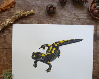 Fire salamander, salamander art print, nature giclée print, Wildlife Watercolour art print, amphibian wall art