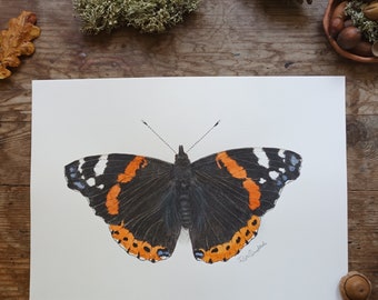 The Red Admiral butterfly, butterfly art print, nature giclée print, Wildlife Watercolour art print, insect wall art