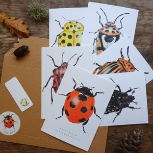 Beetle postcards set, set of 6 bugs postcards, A6 insect postcard, nature postcard, Wildlife Watercolour card, animal art image 6