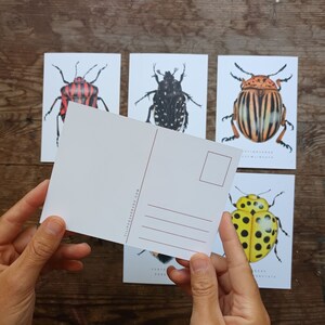 Beetle postcards set, set of 6 bugs postcards, A6 insect postcard, nature postcard, Wildlife Watercolour card, animal art image 5