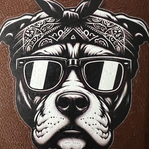 Cartera de cuero Hip Hop Pitbull