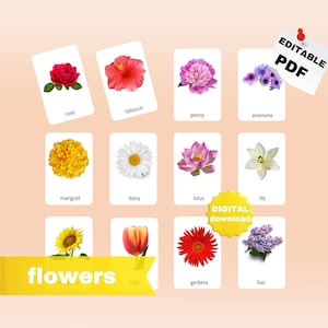 BLUMEN (reale Bilder) 42 bearbeitbare Montessori Karten - Montessori Spielzeug - 3 Stück Karten - pdf druckbare Karten