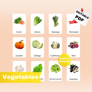 VEGETABLES (real pictures) - 44 Editable Montessori Cards - Flash Cards Naming FlashCards Pdf Printable Cards Preschool Toys