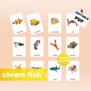 MEER TIERE / 22 Montessori Karten / Flash Cards / Benennungs FlashCards / Editierbare Pdf / Printable Cards Vorschule