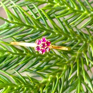 May include: A gold ring with a cluster of pink gemstones set in the center.