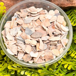 Flake Oyster shell, Hermit crab essential tank staple, calcium