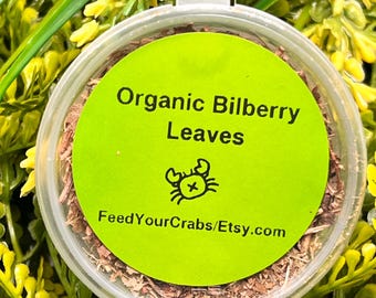 Organic Bilberry leaves for hermit crab, food, and forging.