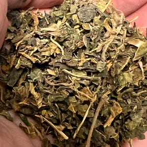 Organic Nettle leaves for hermit crabs