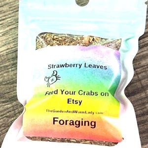 Strawberry leaves for hermit crabs, isopod food, Rich and antioxidants.