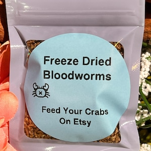 Bloodworm Protein Treat for Hermit Crabs - Kilimanjaro&#39;s Hermits