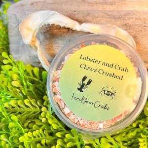 Lobster & Crab Shell: Calcium Supplement for Hermit Crabs