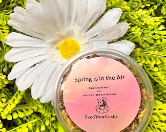 Hermit crab balanced meal, Spring is in the Air, Black soldier flies