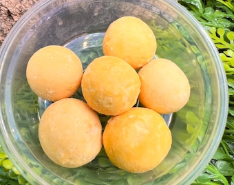 Jaunes d'œufs de caille lyophilisés. Friandise protéinée pour bernard-l'hermite et isopodes. 6 œufs