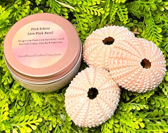 Pink Bikini Aragonite Live Sand for Hermit Crabs, Natural Calcium Substrate, Includes 1 Urchin