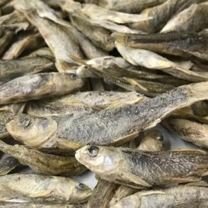 Dehydrated Minnows for Hermit crabs. Complete Protein. A hermit crab absolute favorite