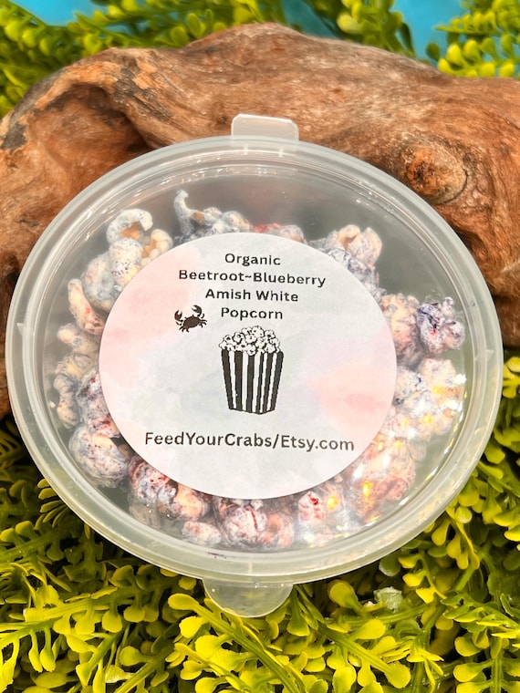 Organic Amish White Popcorn Hermit Crab Treat, with Blue spirulina and beetroot Coconut