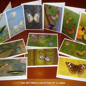 Fine Art Note Cards (Set of 12): Butterfly CHO Collection