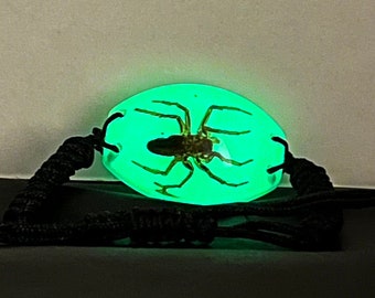 Unique Real Yellow Spider in GLOW in the Dark Resin Bracelet