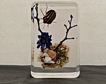Fridge Magnet with Real Stripe bug and Real Brazilian Purple Dried Flower in garden scenery encased in nontoxic resin unique decor.
