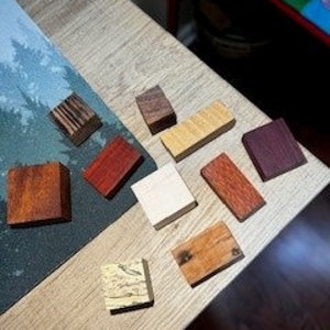 Imanes de madera exóticos surtidos