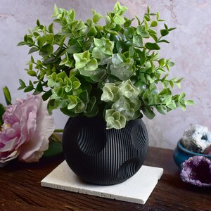 Peut inclure: Un pot noir texturé avec un motif ondulé contient une plante verte feuillue. Le pot est posé sur une tuile carrée blanche.