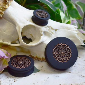 May include: Three black ear plugs with a copper-colored filigree design. The plugs are displayed on a white surface with a skull and greenery in the background. The plugs vary in size.