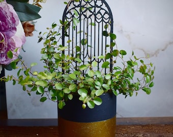 Gothic Plant Trellis, 3D Printed Trellis, Garden Decor, Plant Support, Gothic Decor, Houseplant trellis, Plant Lover Gift