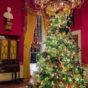 Natal na Casa Branca em Washington, DC Foto