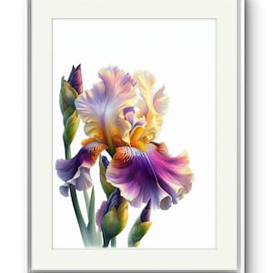 May include: A painting of a purple, yellow and orange iris flower with green leaves and buds. The flower is in focus and the background is white.