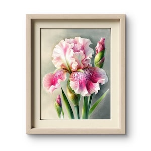Aquarelle rose, fleur d'iris, décoration murale artistique, affiche botanique pour salon, cadeau pour amateur de fleurs, salle à manger, décoration murale, éponge, impression d'iris