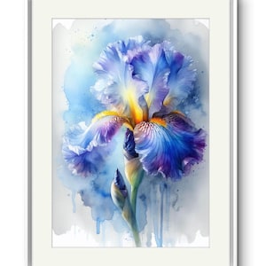 May include: A watercolor painting of a blue iris flower with yellow and purple accents. The flower is painted against a light blue background with white splatters of paint.