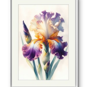 May include: A watercolor painting of a purple and yellow iris flower with green leaves. The flower is in bloom and has a delicate, intricate design.