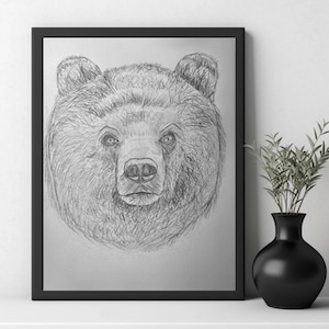 Handgemachte Bär Bleistift Skizze: Teen Kunst, Wildtiere Illustration