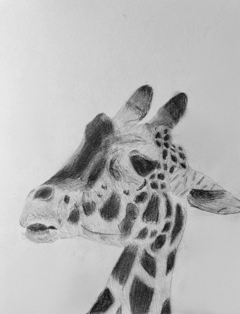 Hand-draw Cute Giraffe Sketch, Made by 3 Year Old, Giraffe Sketch