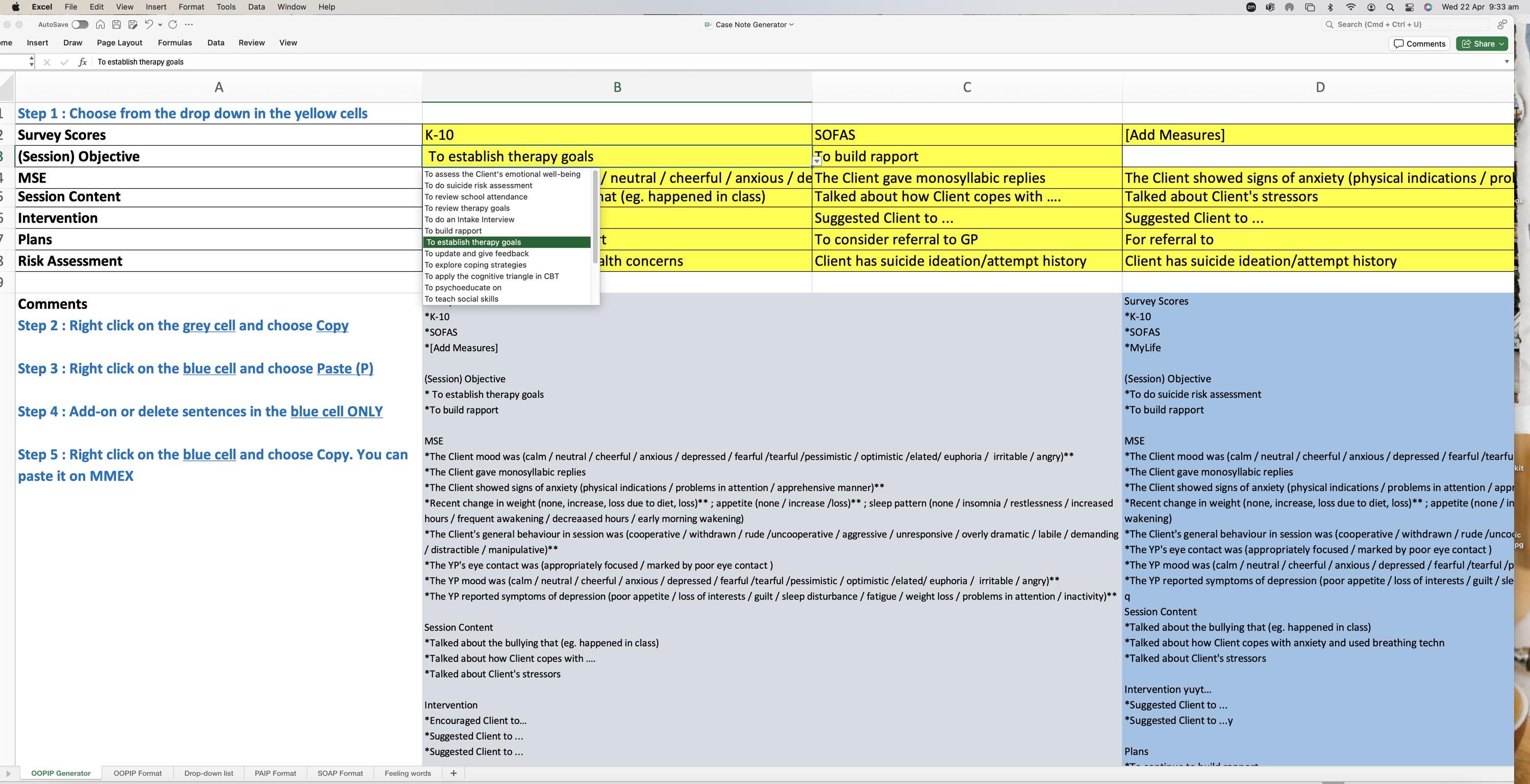 Case Note Generator – Excel Template for Therapists & Counsellors - Etsy