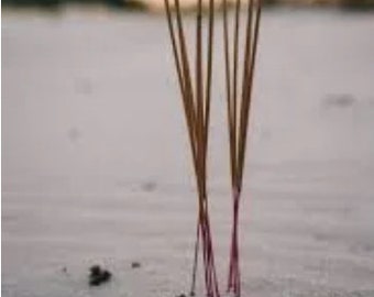 White Sage Spirit Incense used to prolong smudging ceremony. A long burning resin incense, it smells just like your burning a smudge bundle!