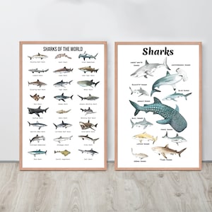 Arte de pared de tiburones del mundo, decoración náutica del hogar, decoración de pared de animales del océano, póster de tiburones, impresión de tiburones, decoración de vivero, arte de tiburones