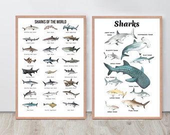 Sharks of the World wall art, Nautical home decor, Ocean animals wall decor, Sharks Poster, Sharks Print, Nursery decor, Sharks Art