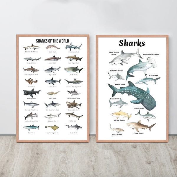 Sharks of the World wall art, Nautical home decor, Ocean animals wall decor, Sharks Poster, Sharks Print, Nursery decor, Sharks Art