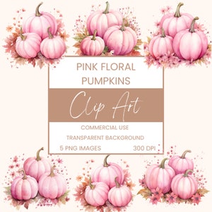 Pink Floral Pumpkins Clip Art Pack Watercolour, Clipart or Commercial Use, Pink Flowers Pumpkins Autumn Fall wall art Watercolour PNG
