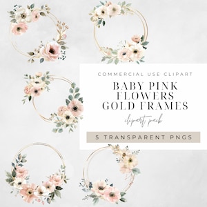 Baby rosa Blumen Gold Rahmen Kränze Aquarell Clipart PNG, Junk Journaling, Bundle, Floral kommerzielle Nutzung digitaler Sofort Download