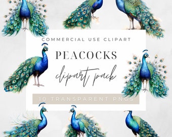 Peacocks Clip Art Pack Watercolour, Clipart or Commercial Use,  Peacock, Bird, Majestic Birds, Wall Art Watercolour PNG