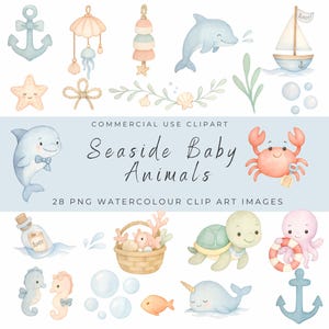 Zee babydieren aquarel clipart – schattige oceaan kinderkamer kunst, pastel zeedieren, strand babyshower png-set voor commercieel gebruik