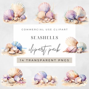 Conchas marinas en acuarela pastel, imágenes prediseñadas para uso comercial, PNG transparentes, conchas de playa en acuarela