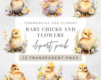 Watercolor Baby Chicks and Flowers Clipart, Clipart for commercial use, Transparent PNGs, Chicken Easter Watercolour